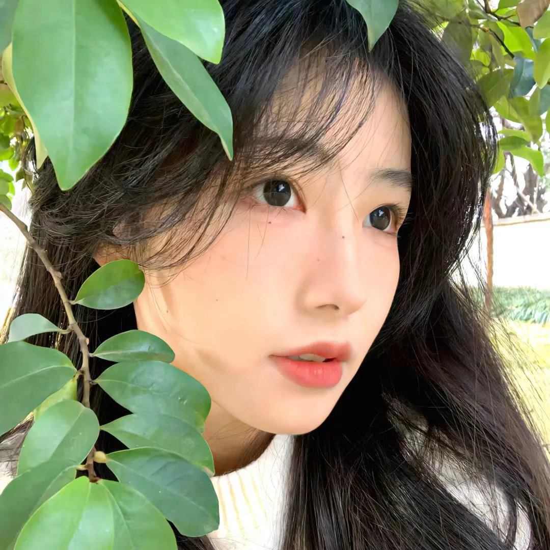 虎穴追踪